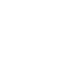 leaf05